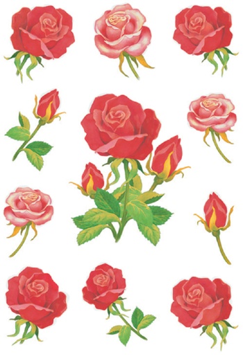 [818026] Etiquette HERMA 3581 Roses