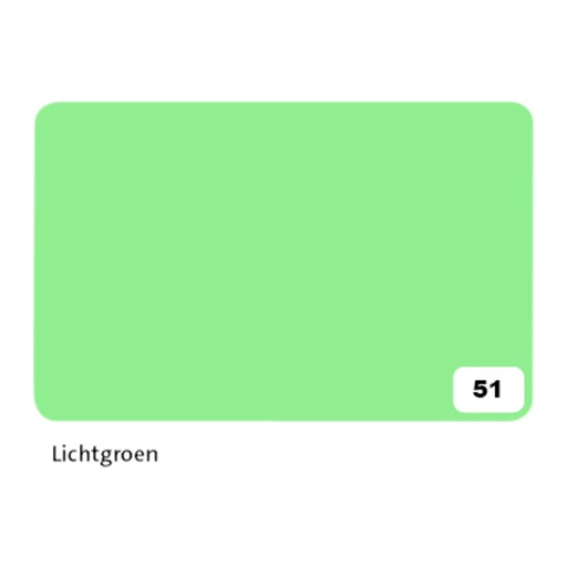 [141685] Carton photo Folia 2 faces 50x70cm 300g nr 51 vert clair