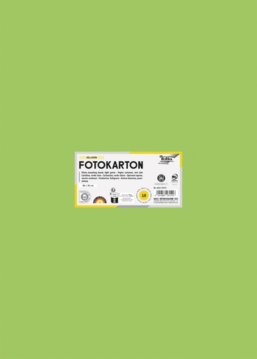 [141685] Carton photo Folia 50x70cm 300g 10 feuilles n° 51 vert clair