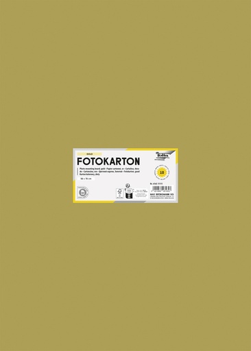 [141681] Carton photo Folia 50x70cm 300g 10 feuilles n° 65 doré