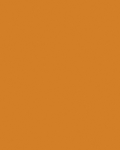 [142156] Carton bricolage Folia 1 face 48x68cm 380g n° 915 orange fluo