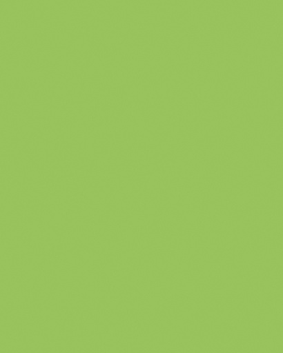 [142154] Etalagekarton Folia 1-zijdig 48x68cm 380gr nr941 fluor groen