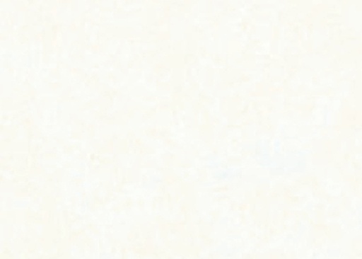 [141930] Papier de soie Folia 50x70cm 20g nr 00 blanc 5 feuilles