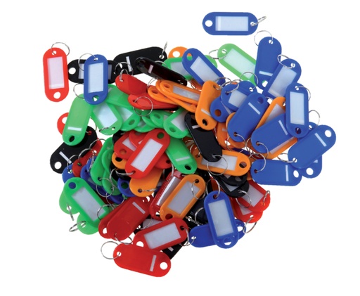 [327954] Porte-clés Pavo en plastique assorti 100 pièces