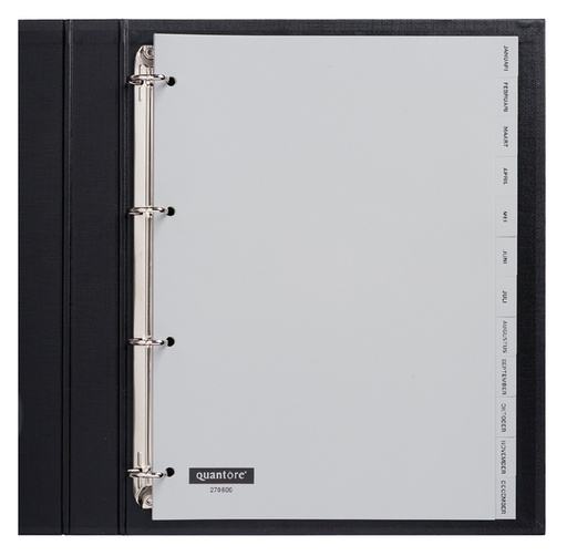 [270609] Intercalaire Quantore 4 perforations 12 onglets mois PP gris