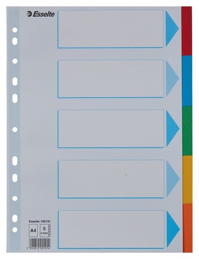 [270140] Tabbladen Esselte Standaard A4 5-delig karton 11-rings met voorblad assorti