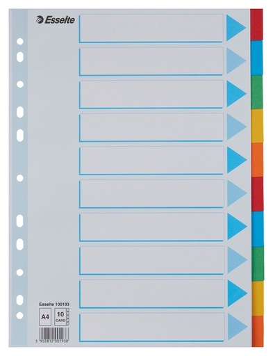 [270143] Tabbladen Esselte Standaard A4 10-delig karton 11-rings met voorblad assorti
