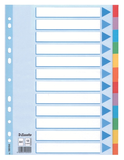 [270148] Tabbladen Esselte Standaard A4 12-delig karton 11-rings met voorblad assorti