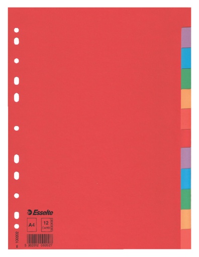 [270152] Tabbladen Esselte Economy A4 12-delig karton 11-rings assorti
