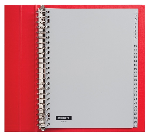 [270570] Intercalaire Quantore 23 perforations numéro 1-31 PP gris