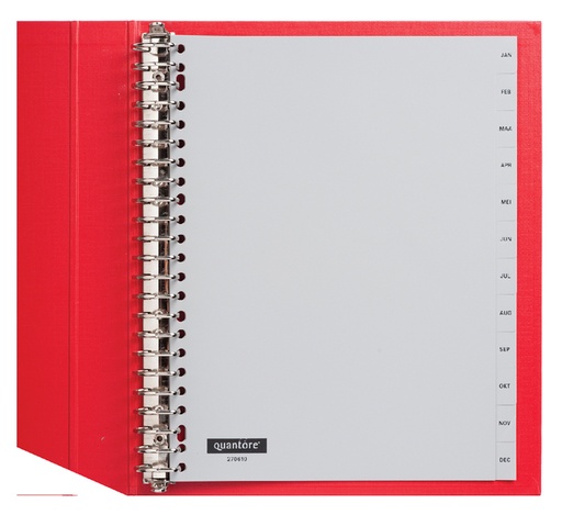 [270610] Intercalaire Quantore 23 perforations 12 onglets mois PP gris