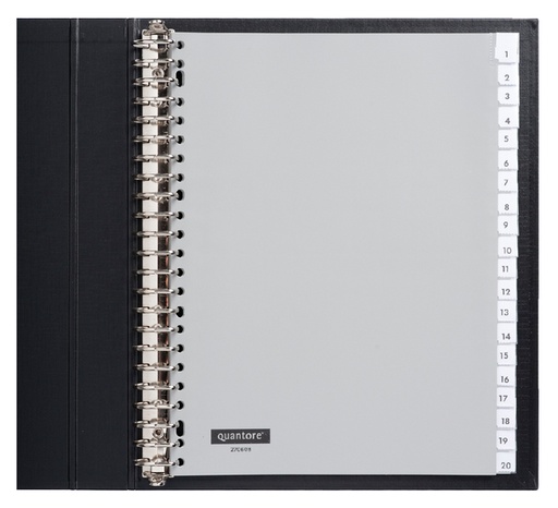 [270608] Intercalaire Quantore 23 perforations 20 onglets+fenêtre PP gris