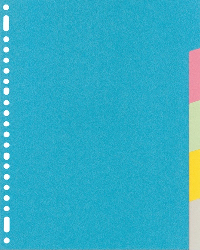 [270438] Intercalaire Kangaro RY405M A4 23 perforations 5 onglets carton assorti