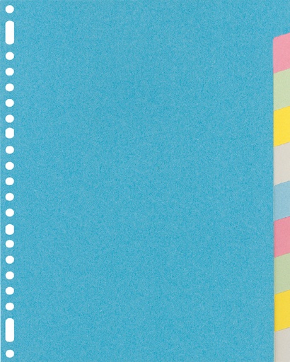 [271505] Intercalaire Kangaro RY410M A4 23 perforations 10 onglets carton assorti