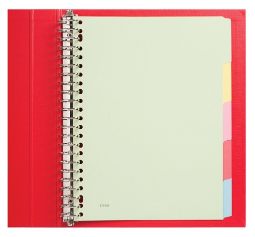 [270507] Intercalaires Qbasic 23 perforations 5 onglets carton assorti