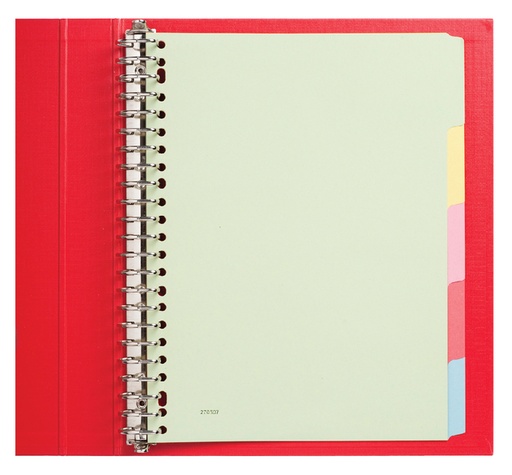 [270507] Intercalaires Qbasic 23 perforations 5 onglets carton assorti