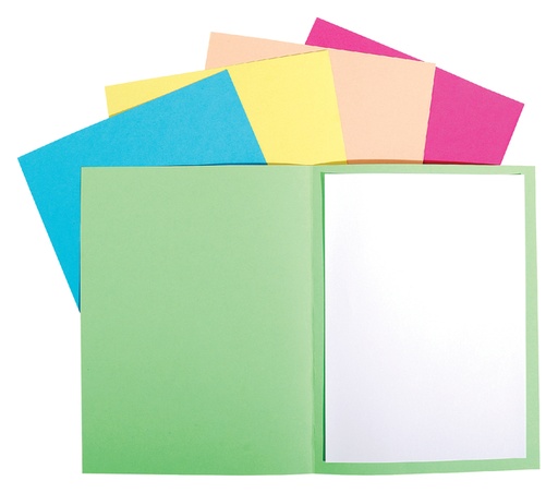 [510858] Vouwmap Exacompta Forever A4 170gr assorti 100 stuks