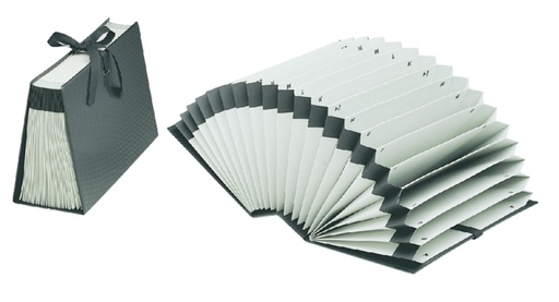 [530010] Trieur Djois Diplo-Line Folio A à Z 21 compartiments noir