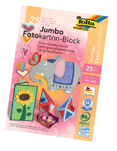 [141669] Carton photo Folia 2 faces 24x35cm 300g assorti 25 feuilles