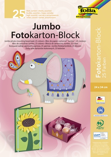 [141669] Carton photo Folia 24x34cm 300g 25 feuilles jumbo assorti