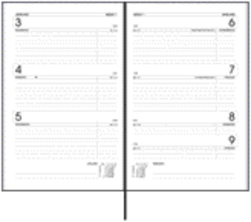 [900116] Agenda 2025 Ryam Efficiency Baladek 7dagen/2pagina''s zwart