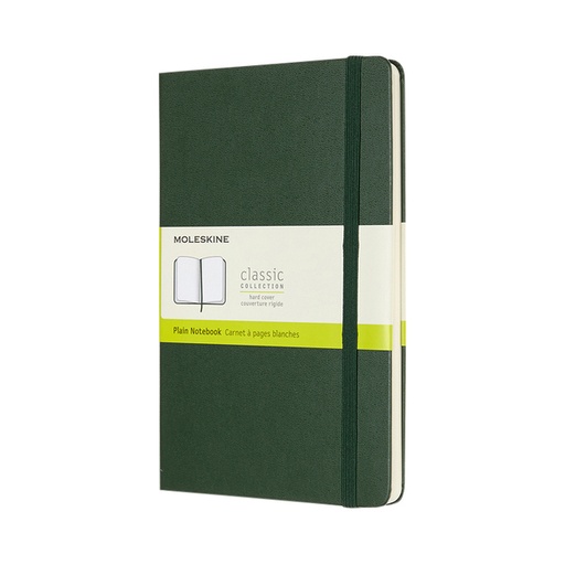[011635] Carnet de notes Moleskine XL 130x210mm ligné vert myrte