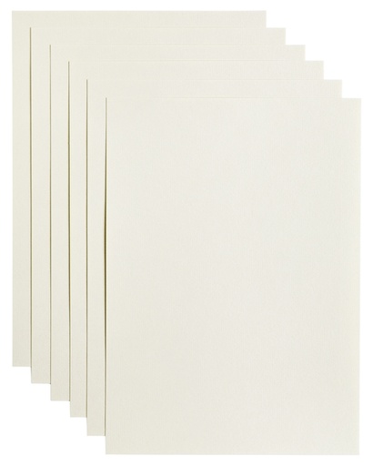 [746336] Kopieerpapier Papicolor A4 100gr 12 vel anjerwit