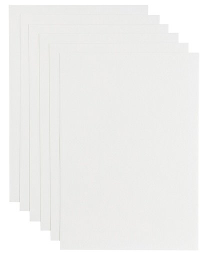 [746344] Kopieerpapier Papicolor A4 100gr 12 vel wit