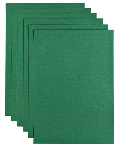[746346] Kopieerpapier Papicolor A4 100gr 12 vel dennengroen