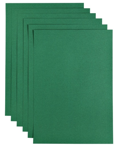 [746346] Papier copieur Papicolor A4 100g 12 feuilles vert sapin