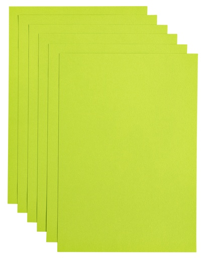 [746349] Kopieerpapier Papicolor A4 100gr 12 vel appelgroen
