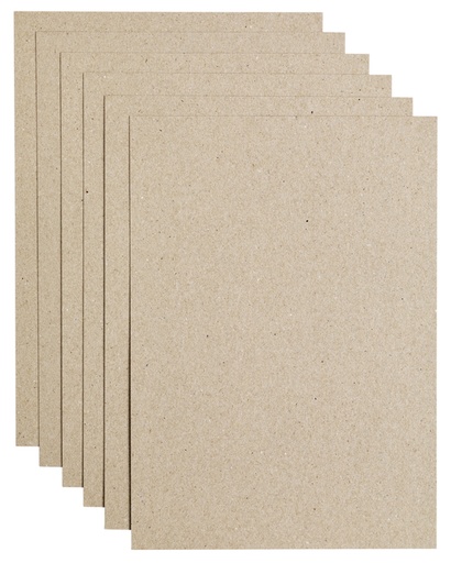 [746351] Kopieerpapier Papicolor A4 100gr 12 vel kraft grijs