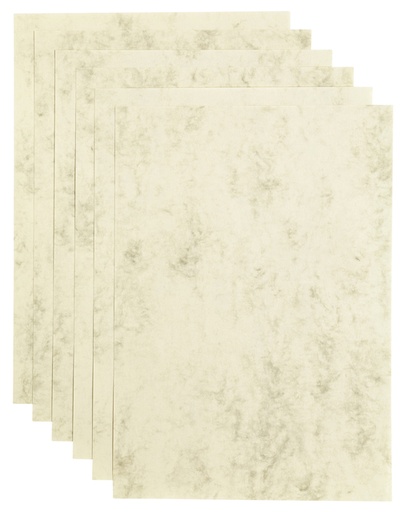 [746358] Kopieerpapier Papicolor A4 90gr 12 vel marble ivoor