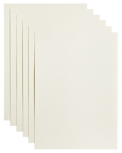 [746305] Papier copieur Papicolor A4 200g blanc 6 feuilles