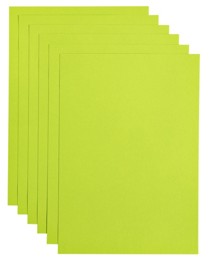 [746318] Papier copieur Papicolor A4 200g vert pomme 6 feuilles