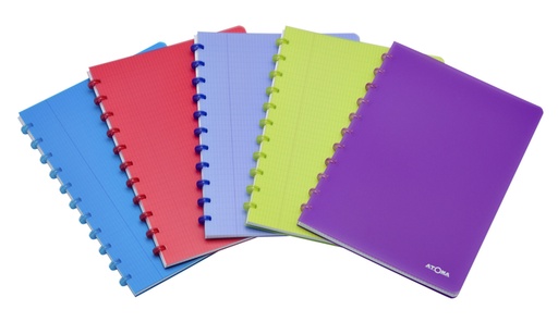 [1386907] Cahier Atoma A4 carreau 4x8mm 144 pages 90g PP transparent assorti