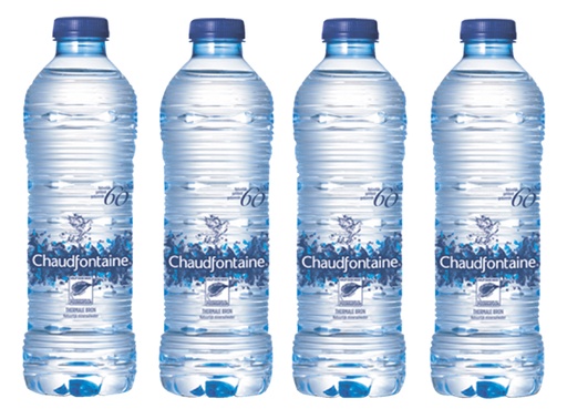 [897049] Water Chaudfontaine blauw petfles 500ml