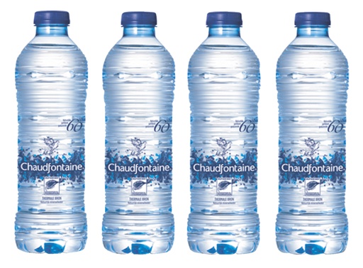 [897049] Water Chaudfontaine blauw petfles 500ml