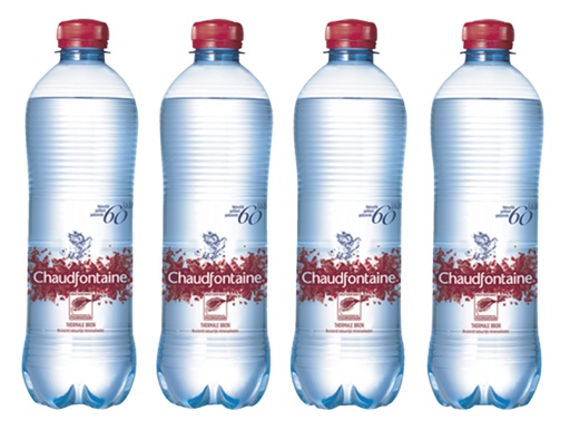 [897050] Water Chaudfontaine rood petfles 500ml