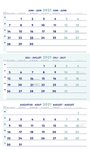 [1388524] Calendrier 3 mois 2025 Brepols 30x60cm