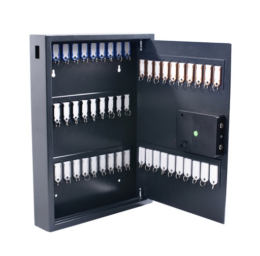 [1419441] Armoire à clés Pavo High Security Magnettag 50 crochets 575x450x77mm