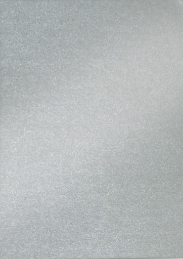 [1422126] Fotokarton Folia 250gr 50x70cm 10vel parelmoer 60 zilver