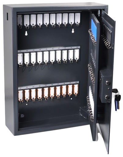 [1431141] Armoire à clés Pavo High Security Magnettag à empreinte digitale 100 crochets 600x480x150mm