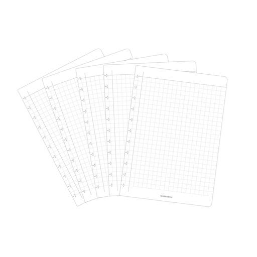 [1432920] Set extension Correctbook A4 carreau 10x10mm 5 feuilles