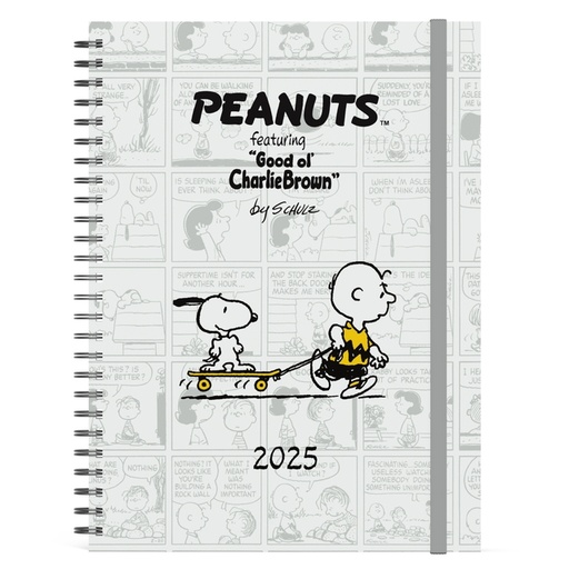 [1431111] Agenda 2025 Lannoo bureau Peanuts 7dagen/2pagina''s