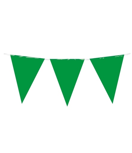 [1435025] Party Flag PE Green