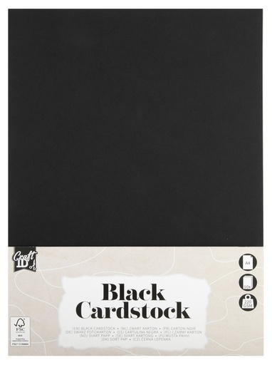 [1432925] Carton Hobby CraftID A4 220g noir 10 feuilles