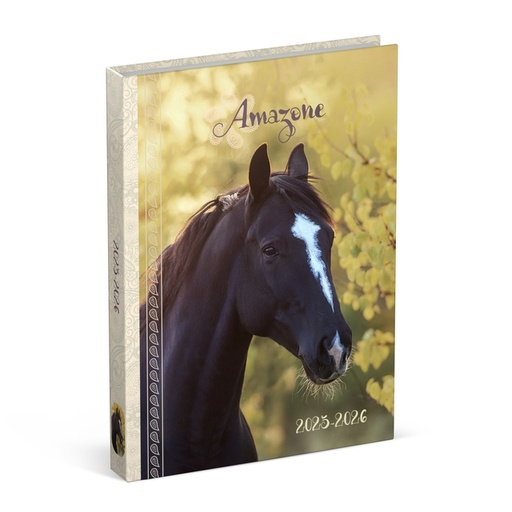 [1435733] Agenda scolaire 2025-2026 Lannoo Horses 1 jour/1 page jaune