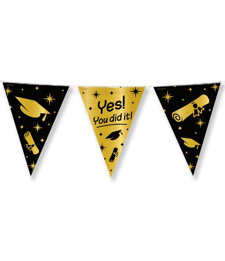 [1436784] Classy Party flags foil You did it