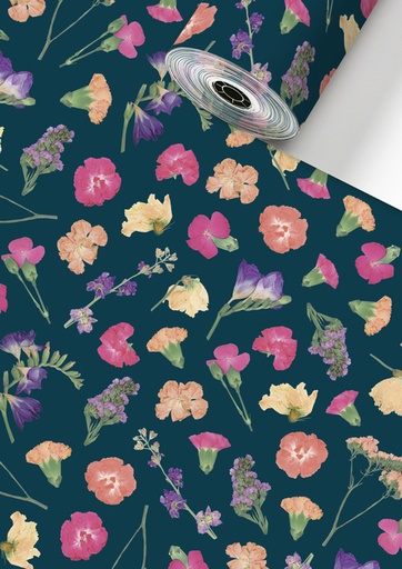 [1436954] Rouleau pour appareil Stewo Mailo 150mx30cm